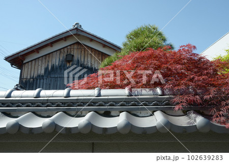 下阪本の街並み 滋賀県大津市坂本 下阪本の街並み 滋賀県大津市坂本 102639283