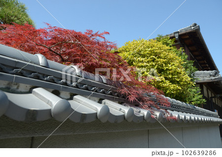 下阪本の街並み　滋賀県大津市坂本 102639286