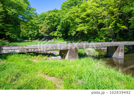 塩沢冠水橋　槻川　新緑の風景　武蔵の小京都　 102639492