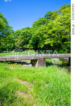 塩沢冠水橋 槻川 新緑の風景 武蔵の小京都  塩沢冠水橋 槻川 新緑の風景 武蔵の小京都  102639493