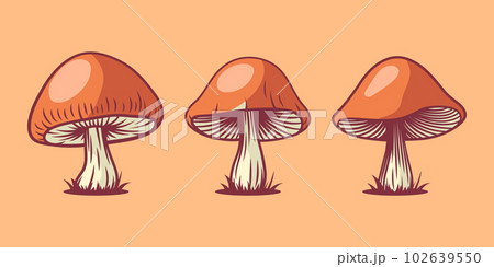 Vector Hand Drawn Cartoon Mushroom with Outline Icon Set Isolated. Brown Edible Boletus Mushroom Illustration, Mushrooms Collection. Magic Mushroom Symbol, Design Template 102639550