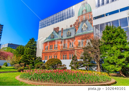 北海道　札幌市　改修工事中の北海道庁旧本庁舎 102640101