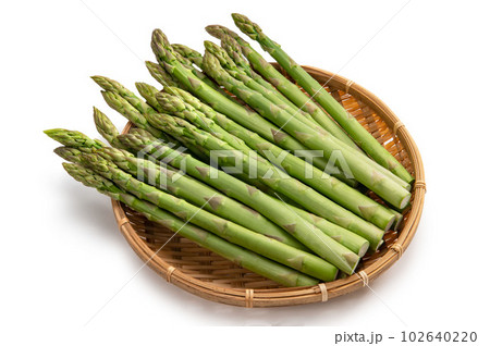 グリーンアスパラガス 102640220