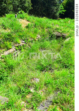 【国指定特別史跡】岩橋千塚古墳群 102640384