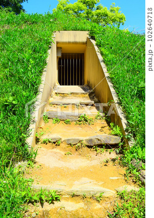 【国指定特別史跡】岩橋千塚古墳群 【国指定特別史跡】岩橋千塚古墳群 102640718