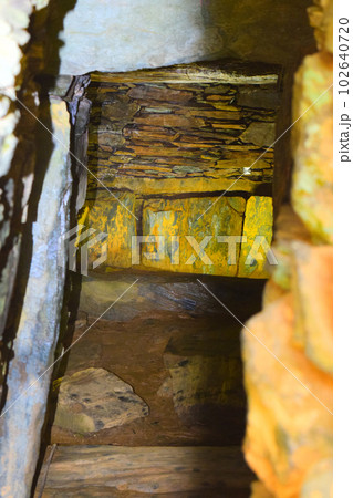 【国指定特別史跡】岩橋千塚古墳群 【国指定特別史跡】岩橋千塚古墳群 102640720