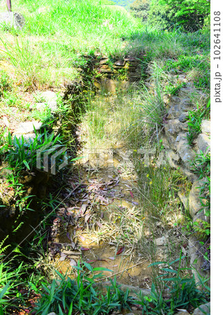 【国指定特別史跡】岩橋千塚古墳群 102641108