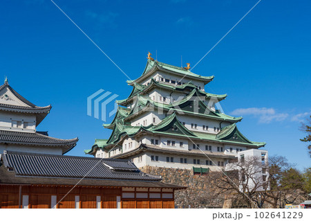 名古屋城 102641229