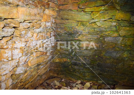 【国指定特別史跡】岩橋千塚古墳群 【国指定特別史跡】岩橋千塚古墳群 102641363