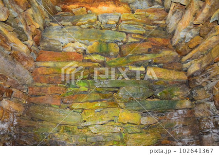 【国指定特別史跡】岩橋千塚古墳群 102641367