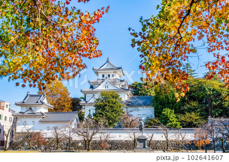 岐阜県 紅葉の大垣城　～天守～ 102641607