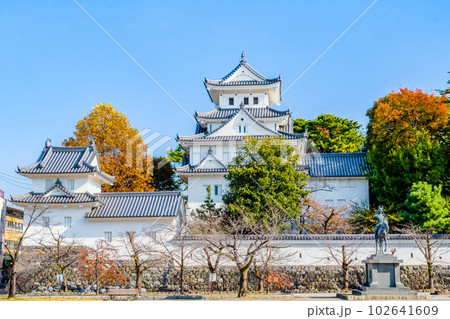 岐阜県 紅葉の大垣城　～天守～ 102641609