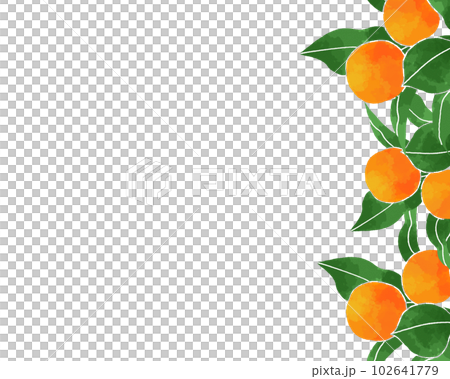 柑橘背景素材水彩風格 102641779