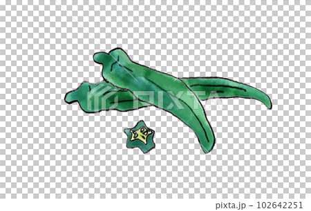 オクラ　手書きイラスト 102642251