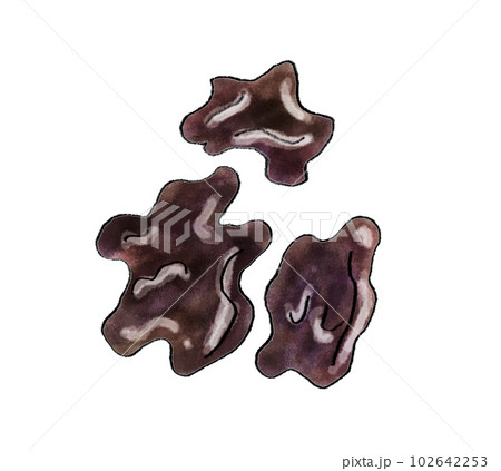 キクラゲ 手書きイラスト キクラゲ 手書きイラスト 102642253