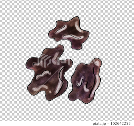 キクラゲ 手書きイラスト キクラゲ 手書きイラスト 102642253