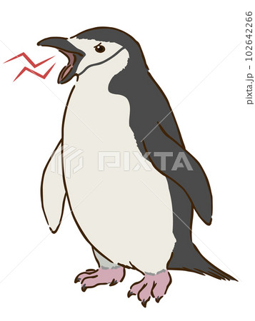 chinstrap penguin clip art