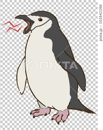 怒るヒゲペンギン 怒るヒゲペンギン 102642266