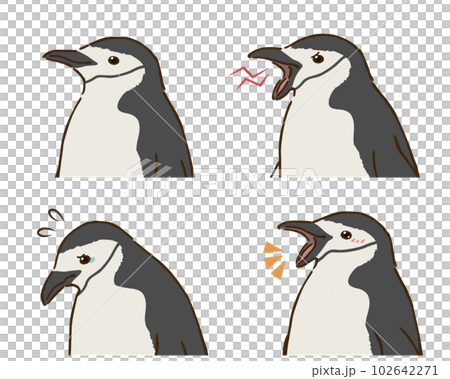 Bearded penguin emotions set 102642271