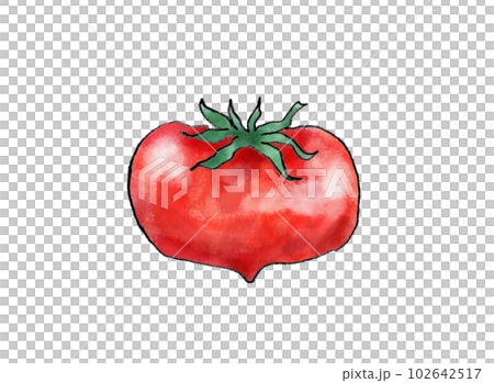 番茄手繪插畫 番茄手繪插畫 102642517