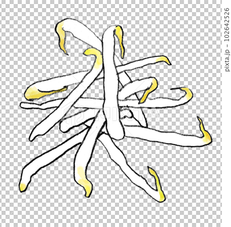 豆芽手繪插畫 102642526
