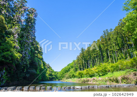 嵐山渓谷 飛び石橋 槻川 新緑の風景 武蔵の小京都  嵐山渓谷 飛び石橋 槻川 新緑の風景 武蔵の小京都  102642949