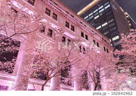 《東京都》日本橋満開の夜桜・桜色のライトアップ 《東京都》日本橋満開の夜桜・桜色のライトアップ 102642982