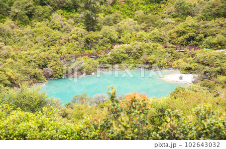 Beautiful view of Green lake (Roto Kanapanapa in Maori language) setting in the centre of the jungle in Whakarewarewa the living Maori village in geothermal area of Rotorua, New Zealand. 102643032