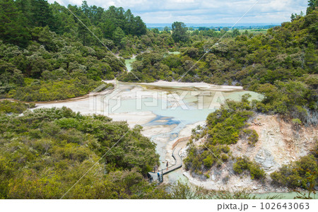 Scenery view of nature trails and landscape of Wai-O-Tapu the thermal wonderland in Rotorua, New Zealand. 102643063