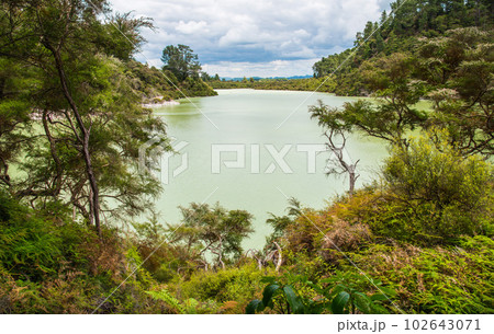 Scenery view of Lake Ngakoro waterfall the beautiful green colour lake at the end of the walk trails in Wai-O-Tapu the geothermal wonderland in Rotorua, New Zealand. Scenery view of Lake Ngakoro waterfall the beautiful green colour lake at the end of the walk trails in Wai-O-Tapu the geothermal wonderland in Rotorua, New Zealand. 102643071