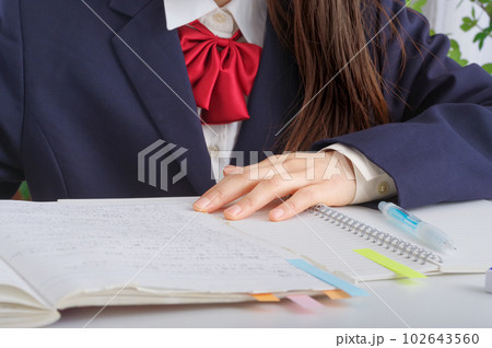 勉強を頑張る女子学生の手元 102643560