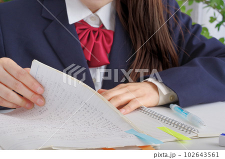 勉強を頑張る女子学生の手元 勉強を頑張る女子学生の手元 102643561