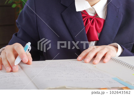 勉強を頑張る女子学生の手元 勉強を頑張る女子学生の手元 102643562