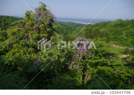 あれ!あの山はなんだ あれ!あの山はなんだ 102643706