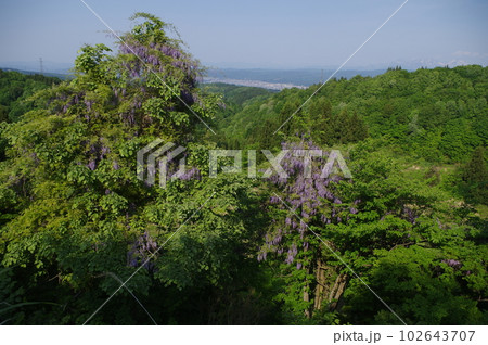 あれ！あの山はなんだ 102643707