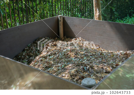 落葉の腐葉土作り 落葉の腐葉土作り 102643733