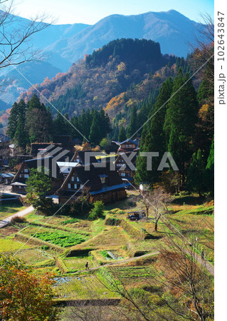 富山県南砺市　晩秋の相倉合掌村　相倉展望台からの眺め 102643847