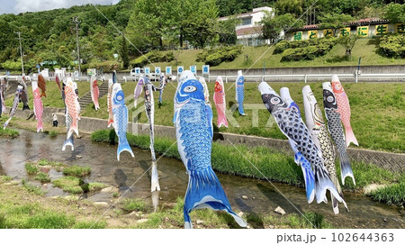 青木川の鯉のぼり〈常盤東小学校前/愛知県岡崎市〉 青木川の鯉のぼり〈常盤東小学校前/愛知県岡崎市〉 102644363