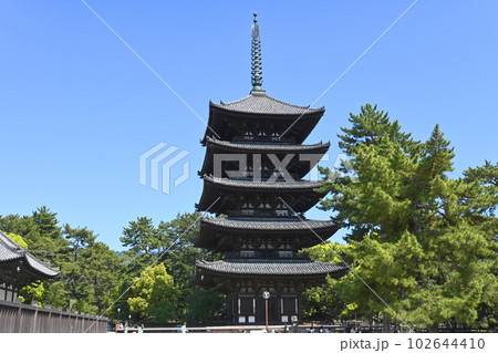 奈良市の世界文化遺産興福寺 国宝五重塔 102644410