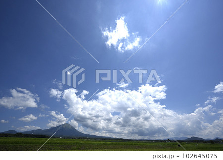 夏の大山 夏の大山 102645075