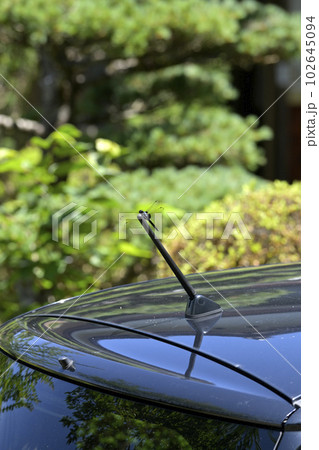 とんぼ 昆虫 とんぼ 昆虫 102645094