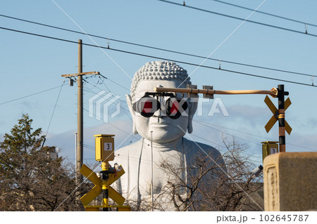 愛知県江南市のサングラス大仏 愛知県江南市のサングラス大仏 102645787