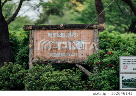 見附天神近くのつつじ公園 102646143