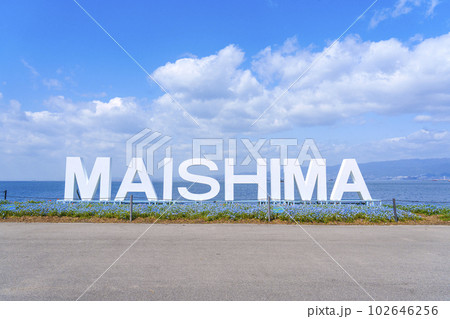 大阪まいしまシーサイドパーク　ネモフィラ祭り　「MAISHIMA」モニュメント 102646256