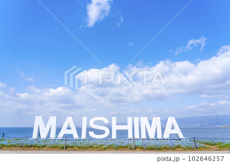 大阪まいしまシーサイドパーク ネモフィラ祭り 「MAISHIMA」モニュメント 大阪まいしまシーサイドパーク ネモフィラ祭り 「MAISHIMA」モニュメント 102646257