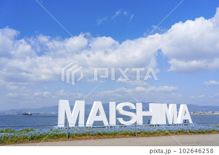 大阪まいしまシーサイドパーク ネモフィラ祭り 「MAISHIMA」モニュメント 大阪まいしまシーサイドパーク ネモフィラ祭り 「MAISHIMA」モニュメント 102646258