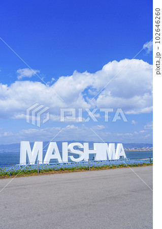 大阪まいしまシーサイドパーク ネモフィラ祭り 「MAISHIMA」モニュメント 大阪まいしまシーサイドパーク ネモフィラ祭り 「MAISHIMA」モニュメント 102646260