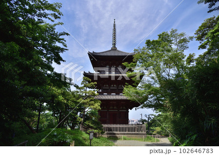 初夏の三渓園「三重塔」 初夏の三渓園「三重塔」 102646783