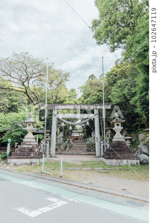 志氐神社（しで神社）　鳥居 102647119