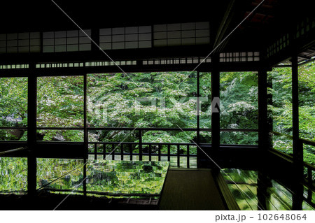 新緑のもみじと瑠璃光院 書院の風景 京都府京都市 新緑のもみじと瑠璃光院 書院の風景 京都府京都市 102648064